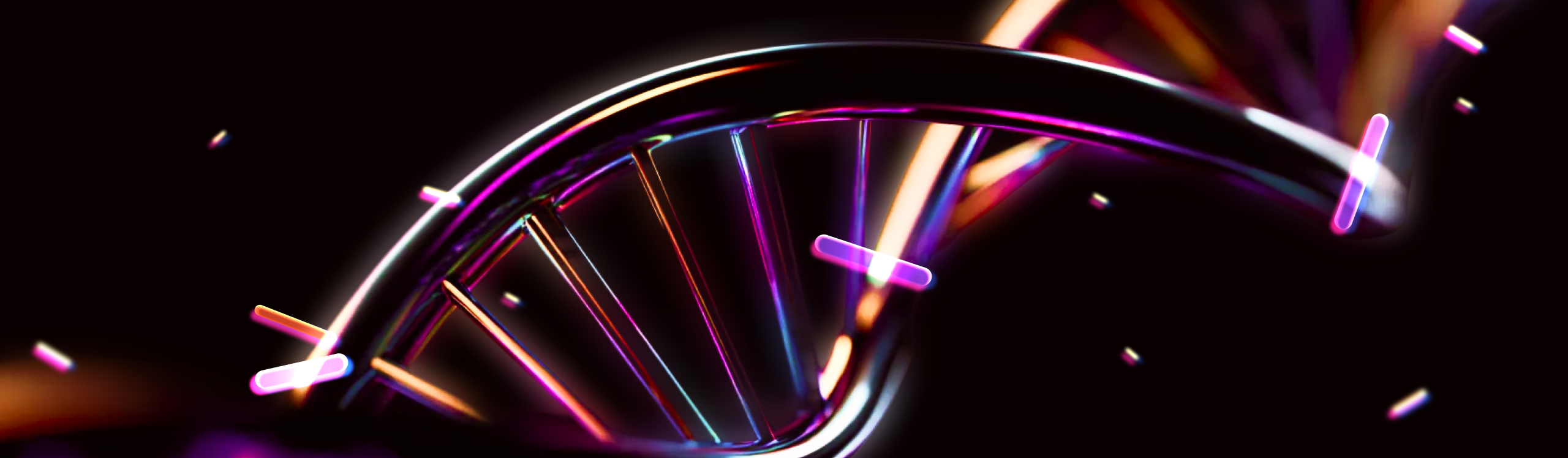 web development company dubai