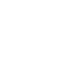 Download PDF
